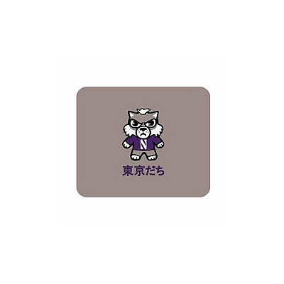 Centon Electronics Northwestern (t) Mousepad Classic V3 (OCTNWMH00C)