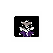 Centon Electronics Northwestern (t) Mousepad Cropped V1 (OCTNWMH03A)