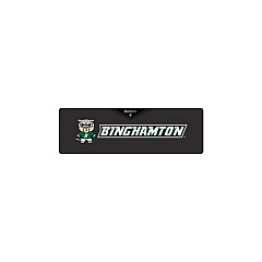 Centon Electronics Binghamton University (t) Sound Box (OCTBHUHK00A)