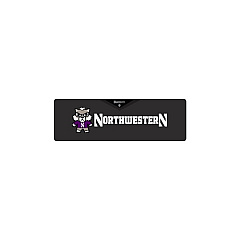 Centon Electronics Northwestern (t) Sound Box (OCTNWHK00A)
