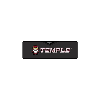 Centon Electronics Temple (t) Sound Box (OCTTEMHK00A)