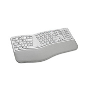 Kensington Pro Fit Ergo Wireless Keyboard-gray (K75402US)