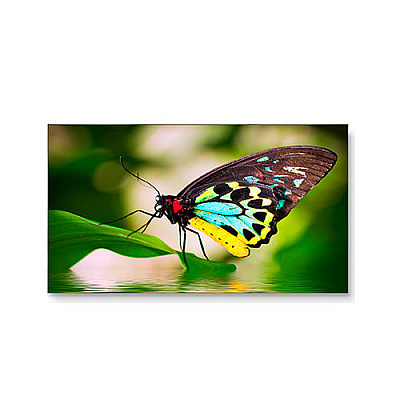 NEC 55inch Ultra Narrow Bezel Video (UN552)