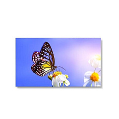 NEC 55 Ultra Narrow Bezel Video Wall (UN552V)