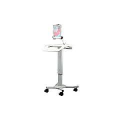 CTA Digital Height-adjustable Rolling Security Works (QPADHRSW)
