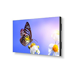 NEC Un552v Bundled With 4 Onstemn-3y-16 (UN552VTMX4P)