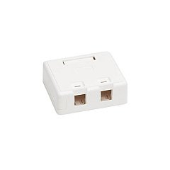 Tripp Lite Surface-mount Box Keystone Jack 2-port (N082002WH)