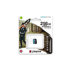Kingston 256gb Microsdxc Canvas Go Plus 170r A2 (SDCG3/256GBSP)