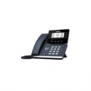 Verizon Ip Desk Phone (T53W-D)