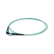 Add-On 0.5m Mpo F/f Aqua Om4 Fiber Ofnr Cbl (ADDMPOMPO0.5M5OM4)