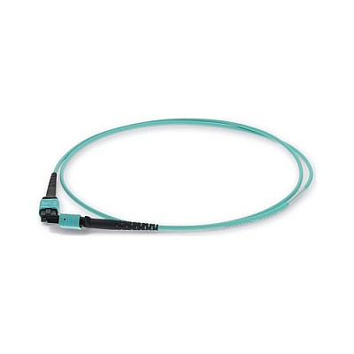 Add-On 0.5m Mpo F/f Aqua Om4 Fiber Ofnr Cbl (ADDMPOMPO0.5M5OM4)