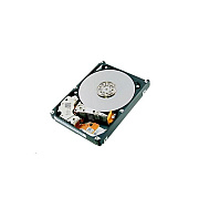Tpcast Us 300gb 2.5in Sas 10000rpm 512n (AL15SEB030N)