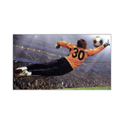 LG 49 Fhd Video-wall,btb 3.5mm Videowall, Hdmi, Usb, Disply Port, Dvi-d (49VL5GM)