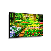 NEC Multisync M491 With Installed Infrared Touchscreen (M491IR)