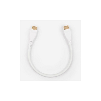 Rocstor 1 Ft Hdmi High Speed Cable M/m (Y10C158W1)