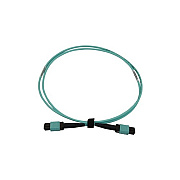 Tripp Lite Fiber Cable 40/100/400g 12fmtp/mpo-pc 2m (N844B02M12P)