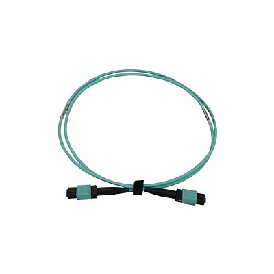 Tripp Lite Fiber Cable 40/100/400g 12fmtp/mpo-pc 2m (N844B02M12P)