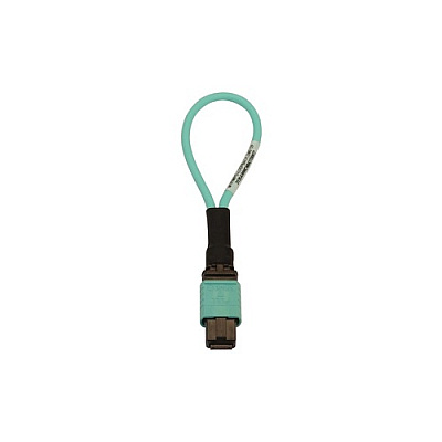 Tripp Lite Fiber Cable Tester Mmf 12fmtp/mpo Female (N844BLOOP12F)