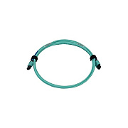 Tripp Lite Fiber Cable Mmf 24f Mtp/mpo-pc F/f 3m (N846B03M24P)