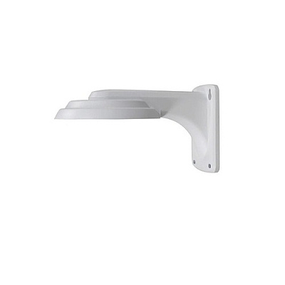 Insight Direct Usa Wall Mount For Small Dome & Fixed Turret (ELEVWALLMOUNT2)
