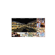 LG 2x2 55vsh7j-h W/peerless Mount (55VSH7JH4P)