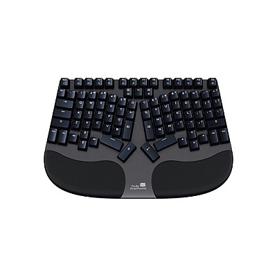 Ergoguys Truly Ergonomic Wired Keyboard (CLEAVE)