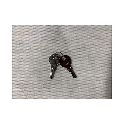 Powergistics Spare Keys - Pair - Tower Series (1K6200)