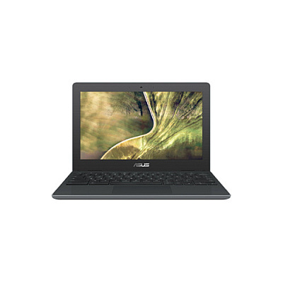ASUS C204ma-ge02-gr Celeron, Chromeenterprise (UC204MAGE02GR)