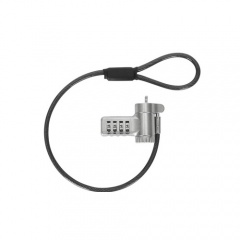 Targus Ser Combo, Dual Head Converter, Universal Lock, 25 Pack Silver (ASP96DGLX-25S)