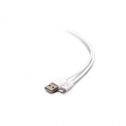 C2G 10ft Lightning To Usb A Cable (C2G29907)