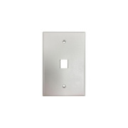 Tripp Lite Safe-it Wall Plate 1-port Single-gang (N042AB-001-IVM)