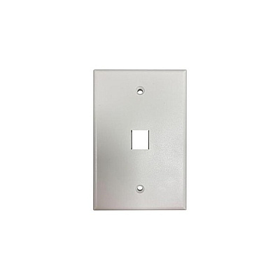 Tripp Lite Safe-it Wall Plate 1-port Single-gang (N042AB001IVM)