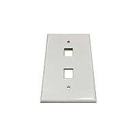 Tripp Lite Safe-it Wall Plate 2-port Single-gang (N042AB002IVG)