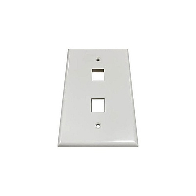 Tripp Lite Safe-it Wall Plate 2-port Single-gang (N042AB002IVG)