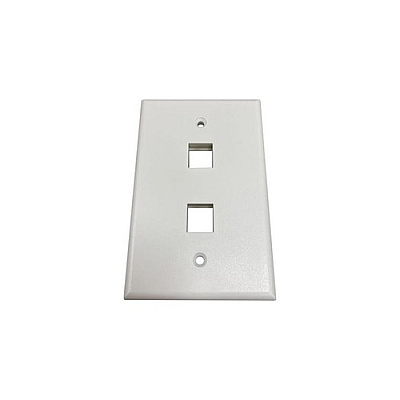 Tripp Lite Safe-it Wall Plate 2-port Single-gang (N042AB002IVM)
