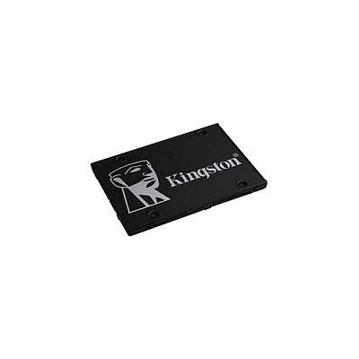 Kingston 256g Ssd Kc600 Sata3 Msata ((bulk Pack) (SKC600MS/256GBK)