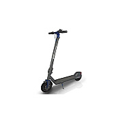 Ergoguys Fiat U2 350w Foldable Escooter Black Silver (FTESU2200SL)