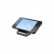 Startech.Com Secure Tablet Stand, Up To 10.5in (SECTBLTPOS2)