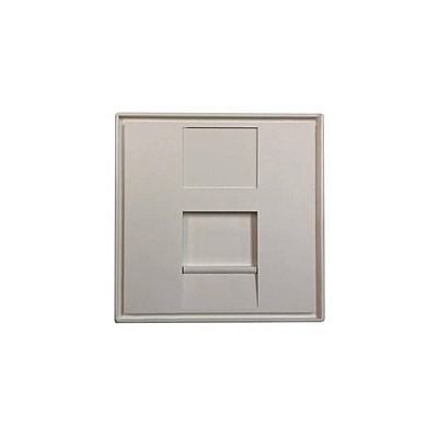 Tripp Lite European Style Insert 1-port 45 X 45 Mm (N042EWM1S)