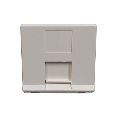 Tripp Lite European Style Insert 1-port White (N042EWM1SAT)