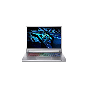 Acer Predator Triton 300 (PT31651S74RM)