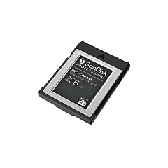 Sanyo Denki America Sandisk Professional, Pro-cinema, 256gb, Cfexpress Vpg400 Type-b Memory Card (SDPCVN4256GGNANN)