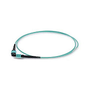 Add-On 10m Mpo F/f Taa Om4 Aqua Patch Cbl (ADDMPOMPO10M5OM4TAA)