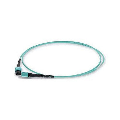 Add-On 10m Mpo F/f Taa Om4 Aqua Patch Cbl (ADDMPOMPO10M5OM4TAA)