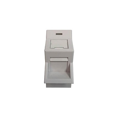 Tripp Lite Uk Insert 1-port Unloaded Angled 25x50mm (N042UWHMSA)
