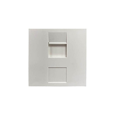 Tripp Lite Uk-style Unloaded 1-port 50x50 Mm, White (N042UWM1S)