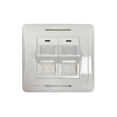 Tripp Lite Uk-style Wall Plate 2port Unloaded Shuttered Angled Module White (N042UWK2SA)