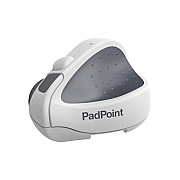 Ergoguys Swiftpoint Padpoint Wireless Ipad Mouse (SM603E)