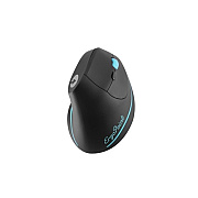 Ergoguys Swiftpoint Ergopoint Wireless Mouse (SM800)