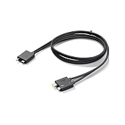 Lenovo Cable_bo Tbt4 Wst Cable 0.7m (4X91K16970)